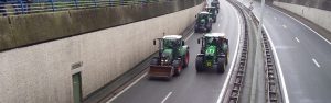 Boeren doelbewust de nek omgedraaid. Dit is het enige echte verhaal achter de halvering van de veestapel