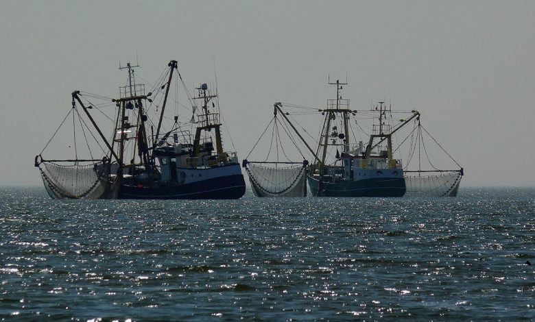 vissers